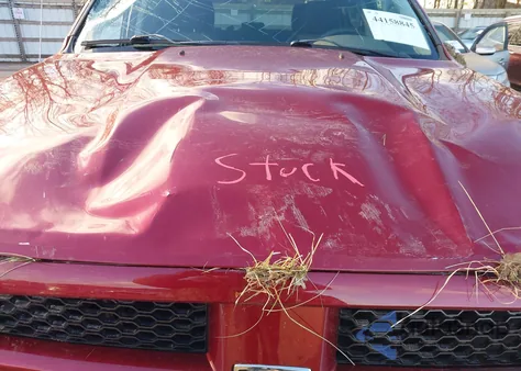 2012 Ram 1500 St z USA, uszkodzony, nr VIN 1C6RD7KT8CS177133